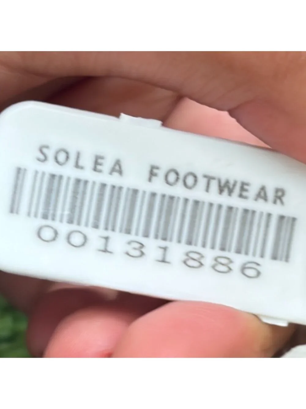 allbirds please review